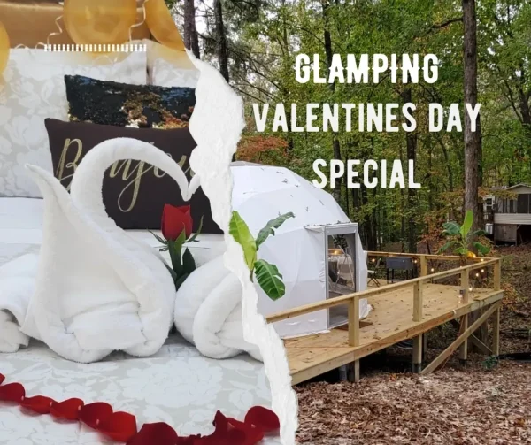 Image of Valentines Day Special
